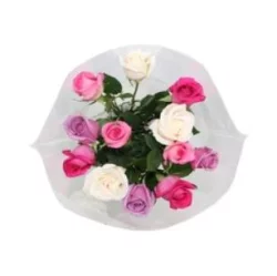 Market Fresh Dozen Roses