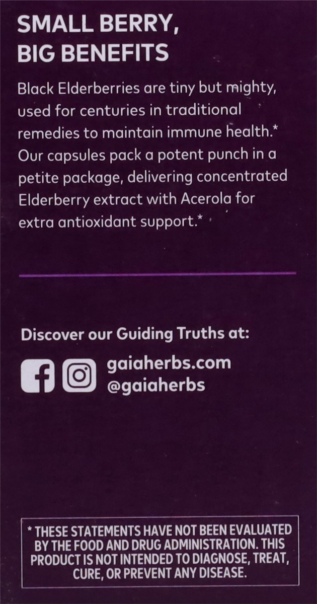 slide 4 of 14, Gaia Herbs Immune Support Black Elderberry 60 Capsules, 60 ct