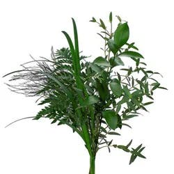 Jolo Farms Mixed Greenery 7 Stem Garden Bunch