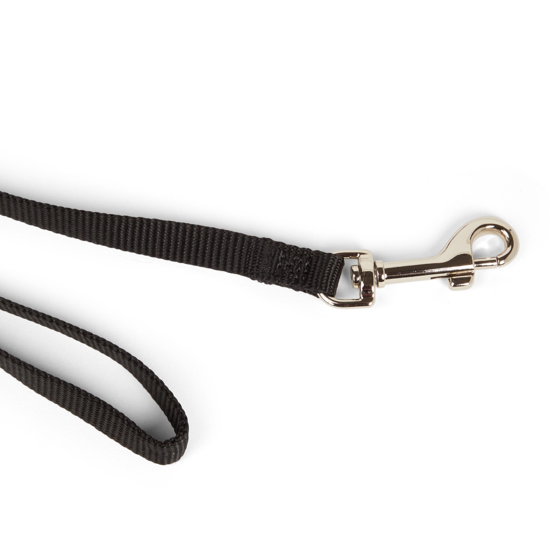 slide 6 of 6, YOULY Black Dog Lead 6 ft, X-Small, XS