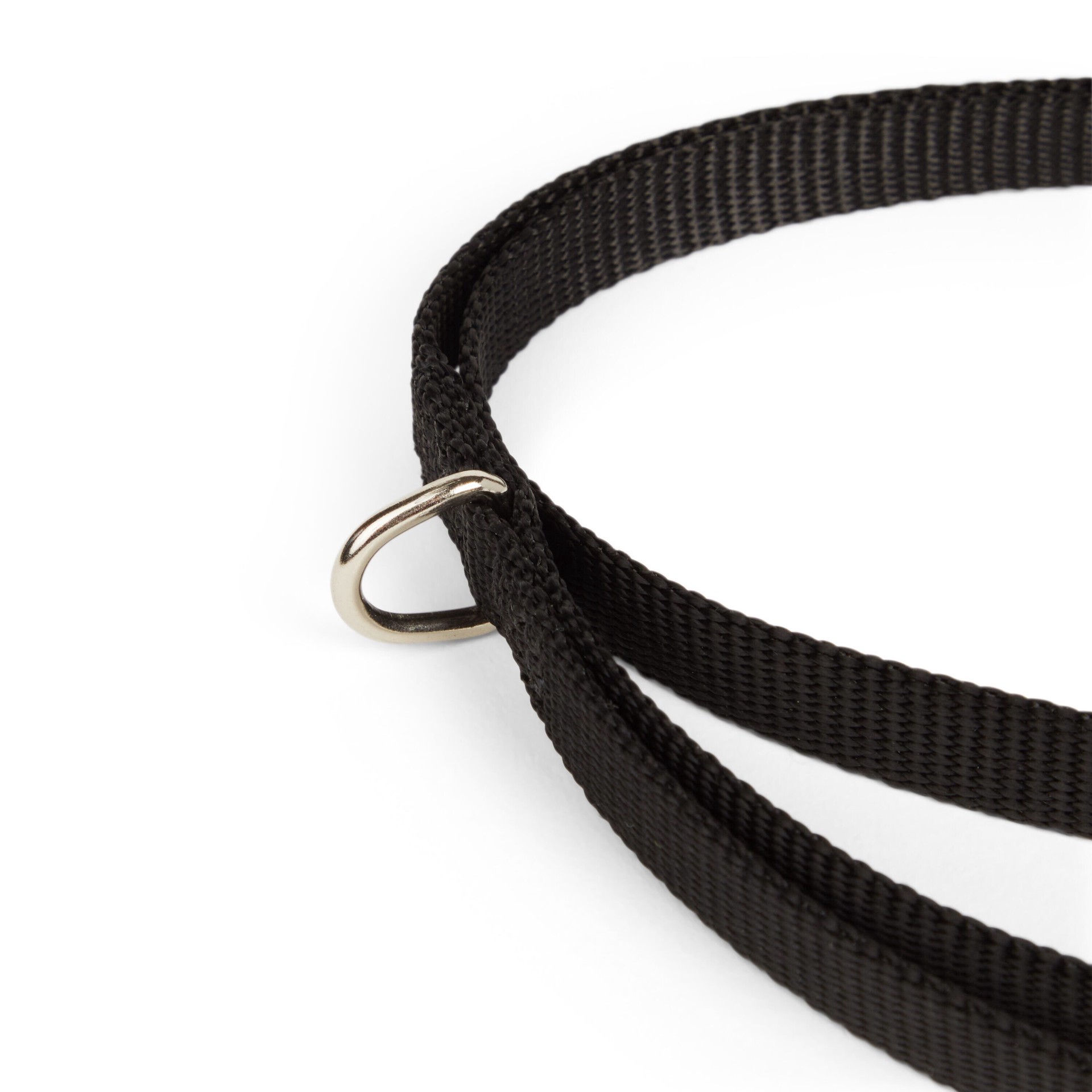 slide 4 of 6, YOULY Black Dog Lead 6 ft, X-Small, XS