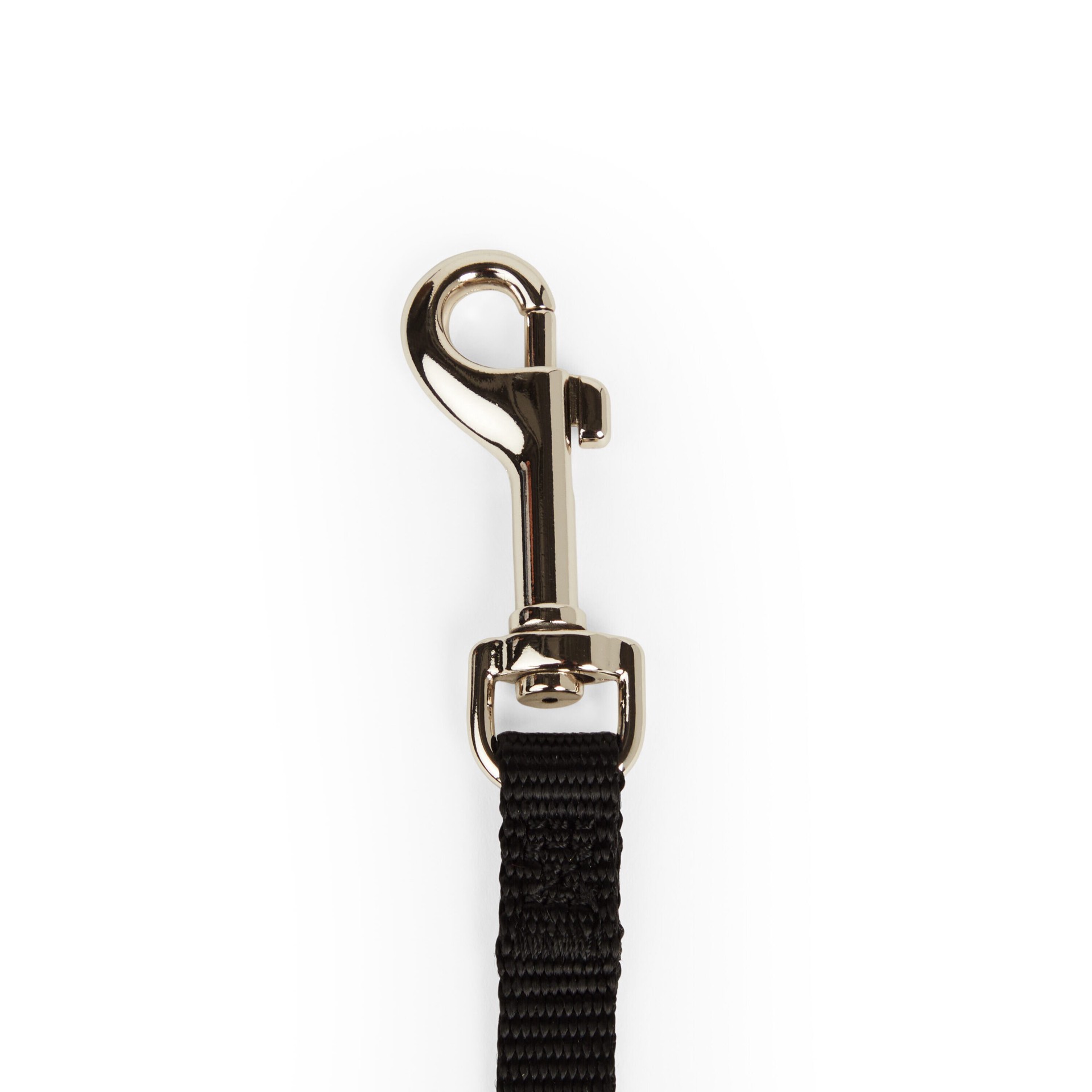 slide 3 of 6, YOULY Black Dog Lead 6 ft, X-Small, XS