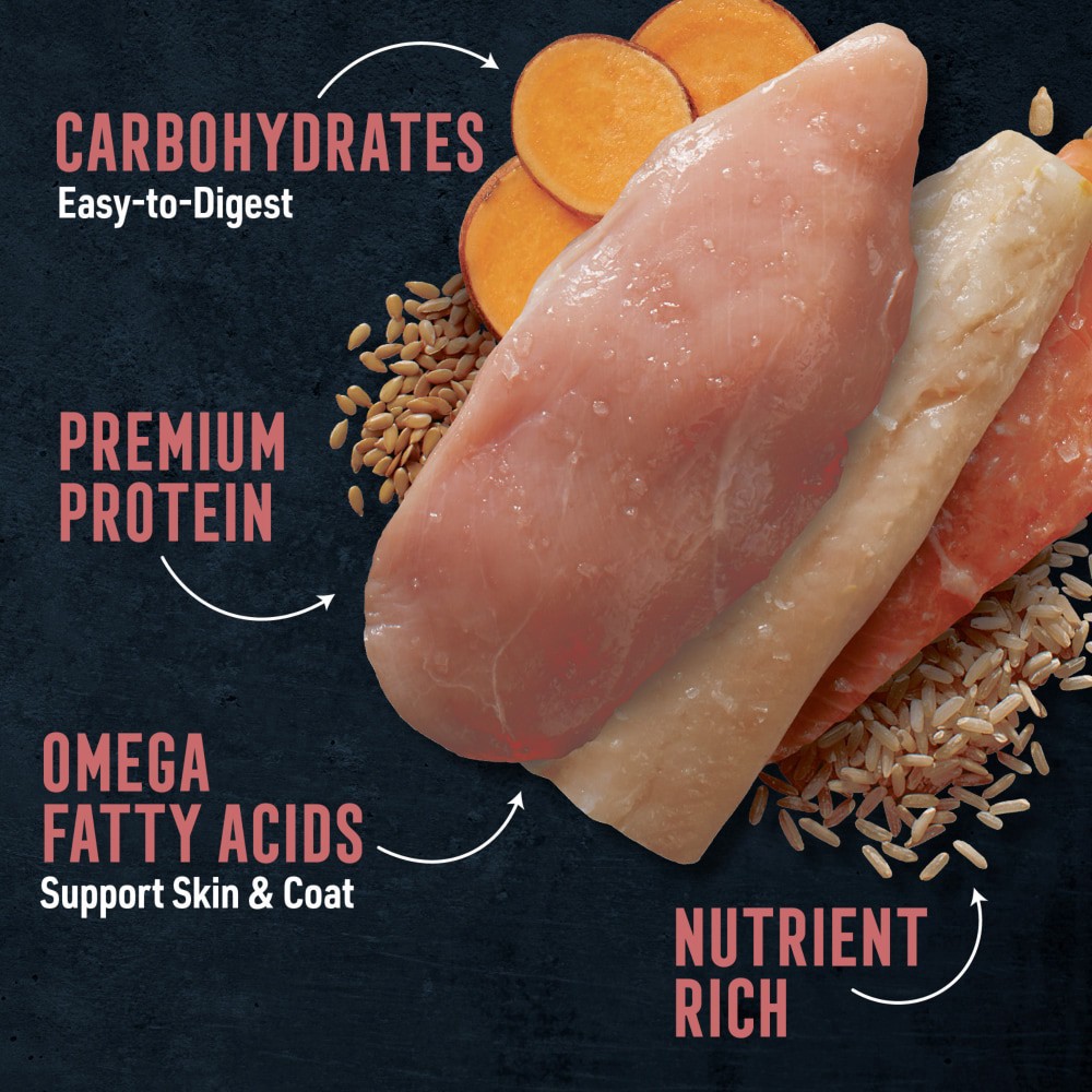 slide 4 of 6, Abound Chicken Salmon & Sweet Potato Skin & Coat Wet Dog Food Can, 13.2 oz