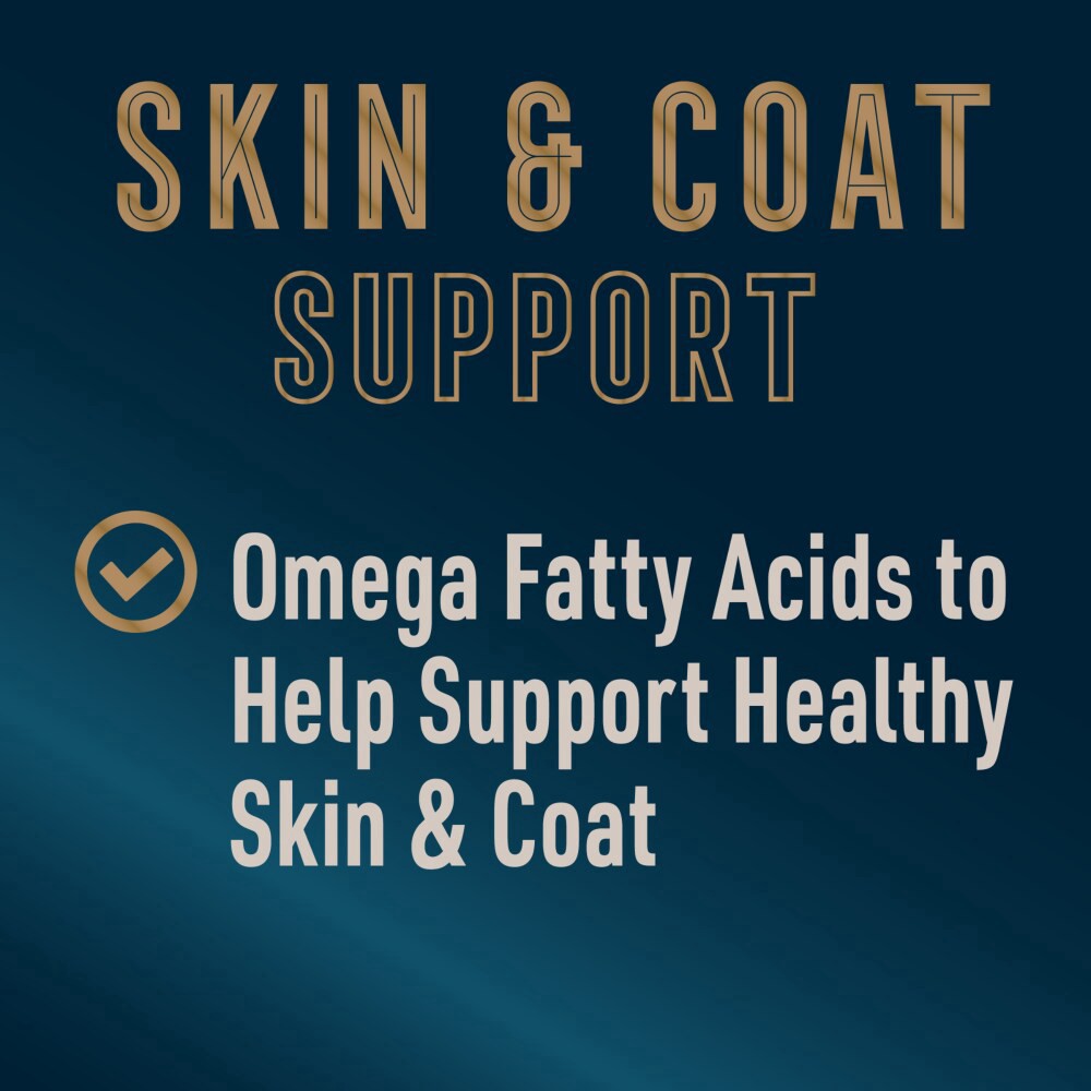 slide 5 of 6, Abound Chicken Salmon & Sweet Potato Skin & Coat Wet Dog Food Can, 13.2 oz