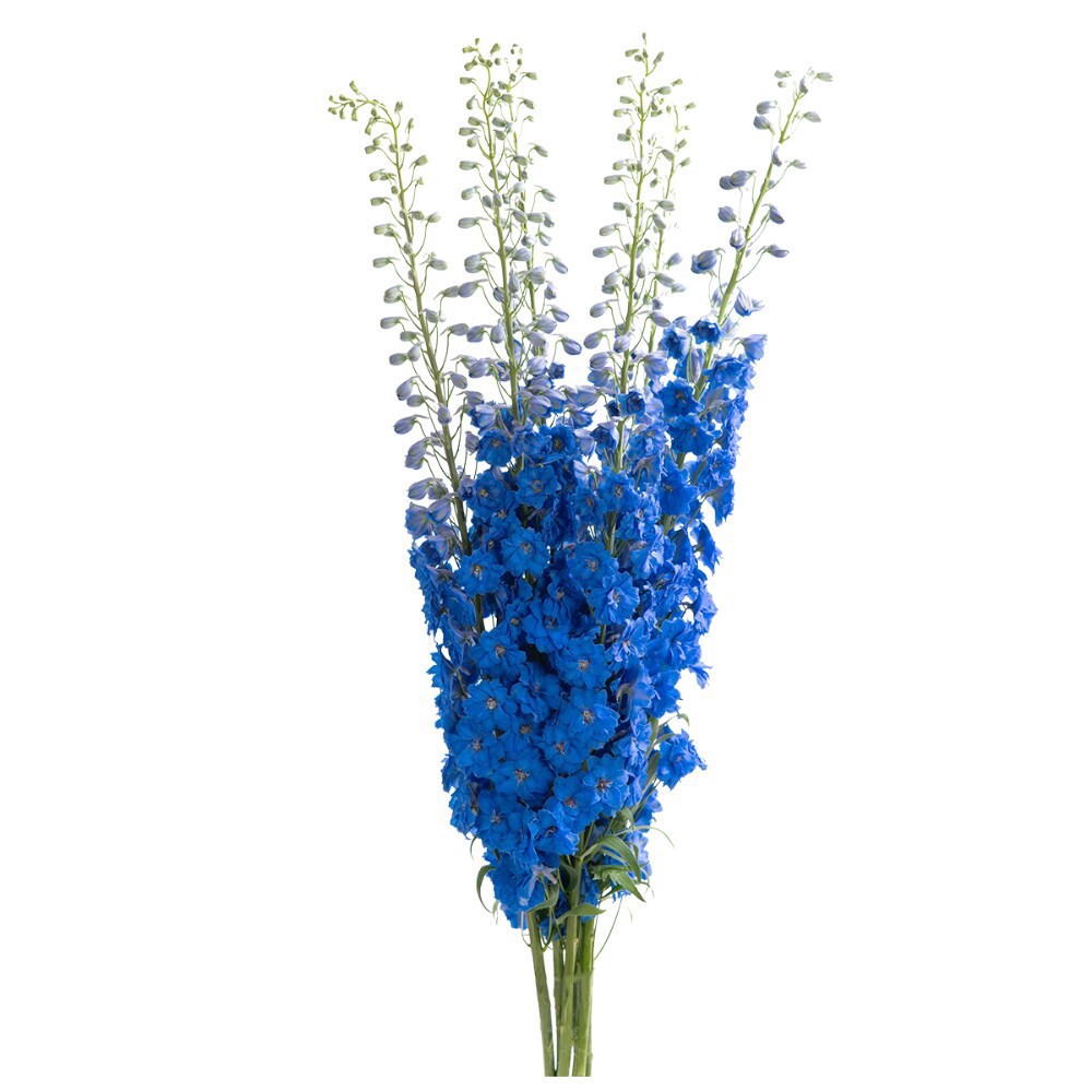 slide 3 of 6, Premium Linear Flower Bunch, 5 ct