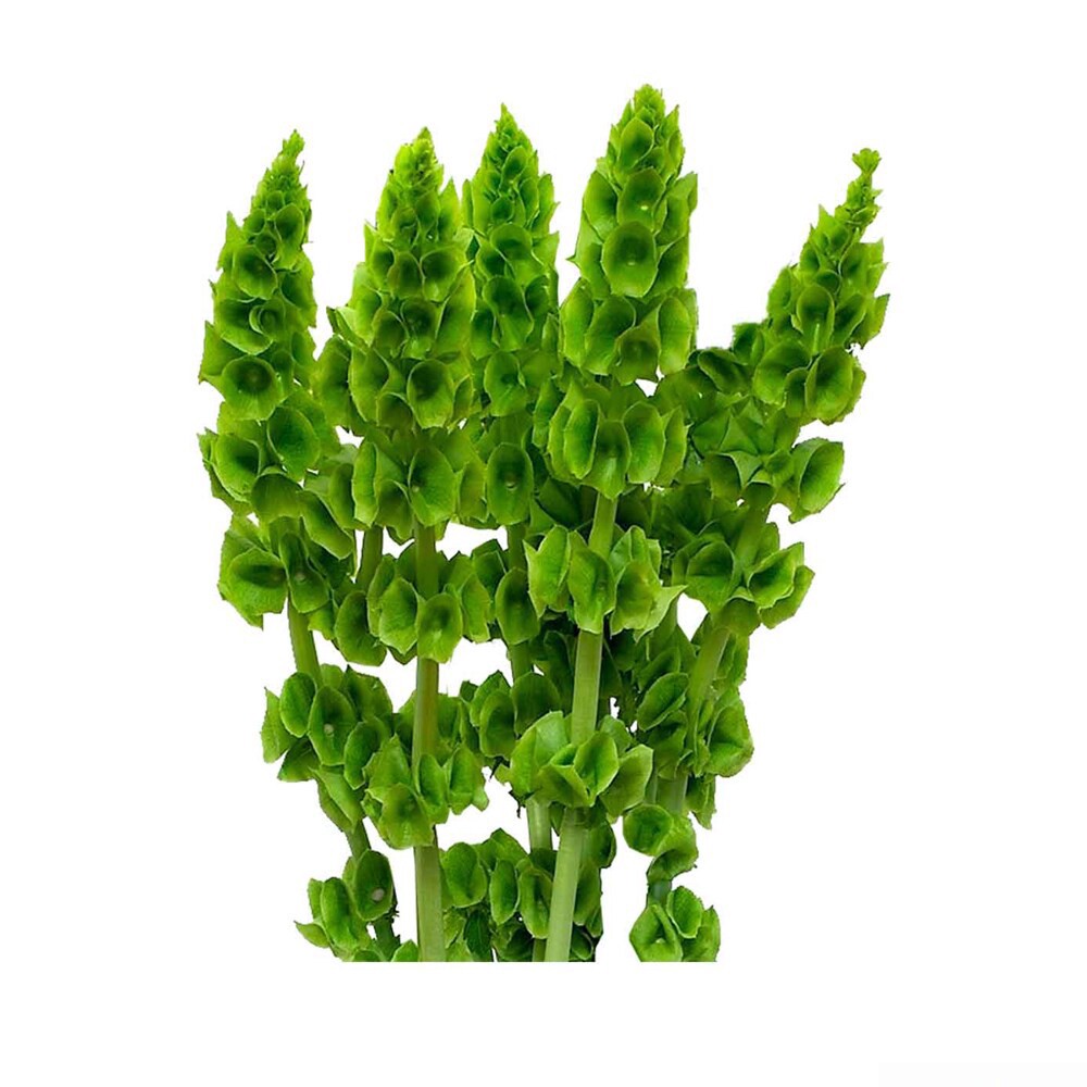 slide 5 of 6, Premium Linear Flower Bunch, 5 ct