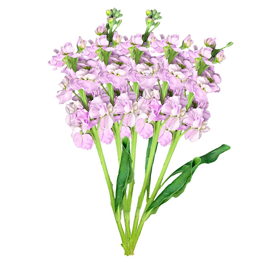 slide 4 of 6, Premium Linear Flower Bunch, 5 ct