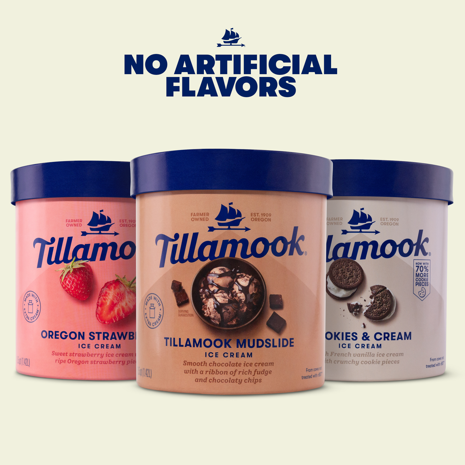 slide 4 of 5, Tillamook Cookies and Cream Ice Cream, 48fl-oz, 855 g