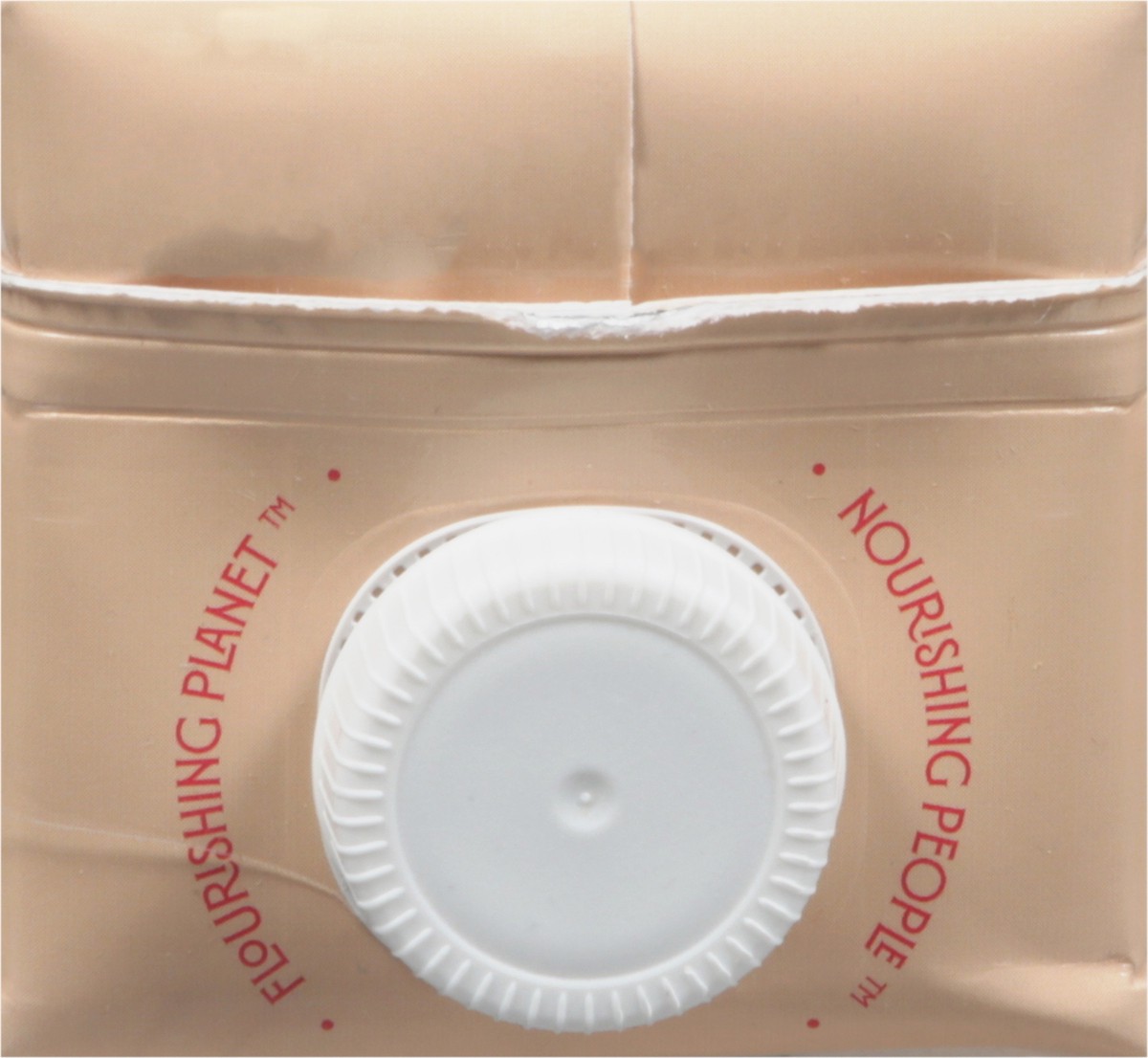 slide 2 of 12, Lattini Chocolate Sunflower Seed Milk 32 fl oz, 32 fl oz