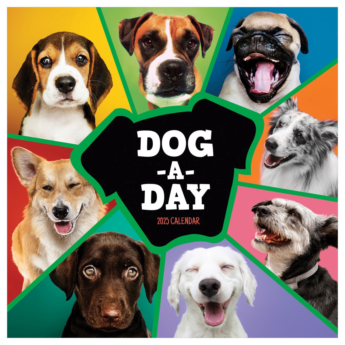 slide 1 of 1, 2025 Dog-A-Day Wall Calendar, 1 ct