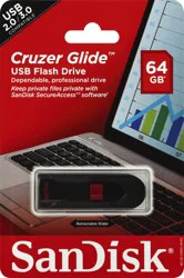 SanDisk Flash Drive 1 ea