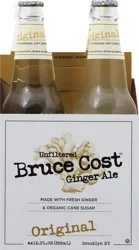 Bruce Cost Ginger Ale - 48 fl oz