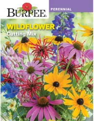 Burpee Perennial Wildflower Cutting Mix