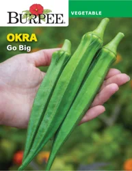 Burpee Okra Go Big