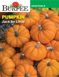 Burpee Heir Pumpkin Jack Be Little