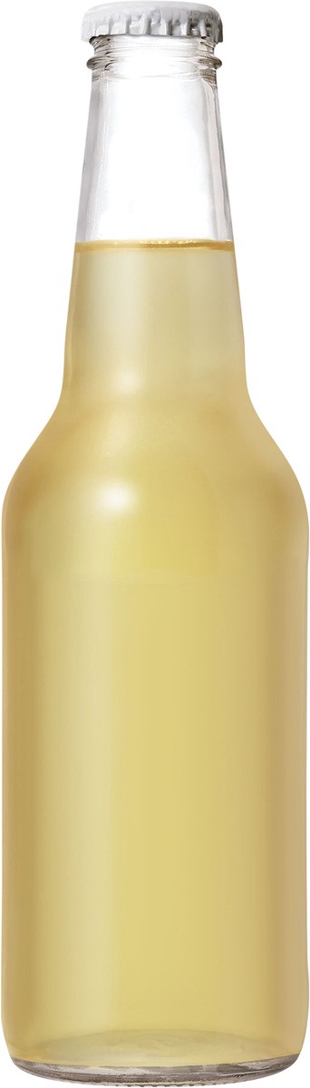 slide 5 of 6, Izze Sparkling Apple Juice Beverage - 12 fl oz, 12 fl oz