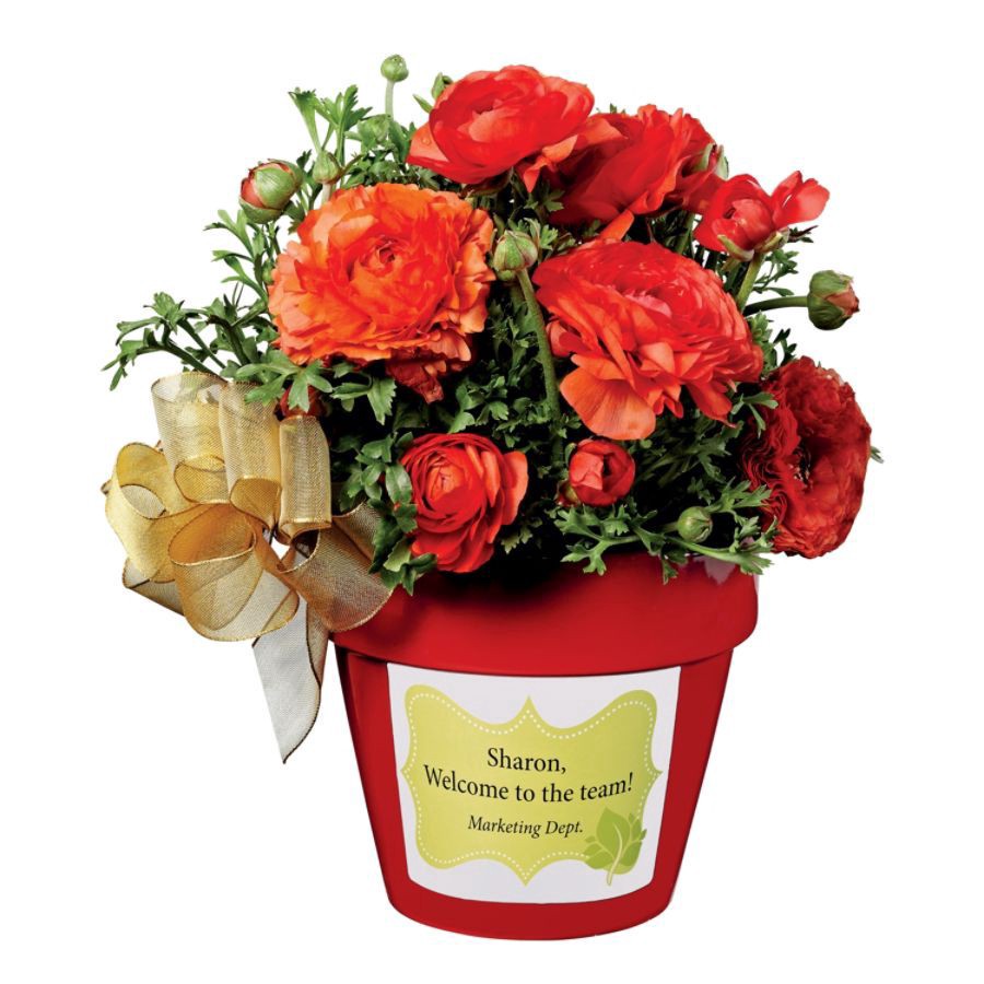 slide 9 of 10, Avery Removable Durable Labels, TrueBlock Technology, 4-3/4 x 3-1/2, White, 32 ct