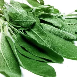Melissa's Organic Sage