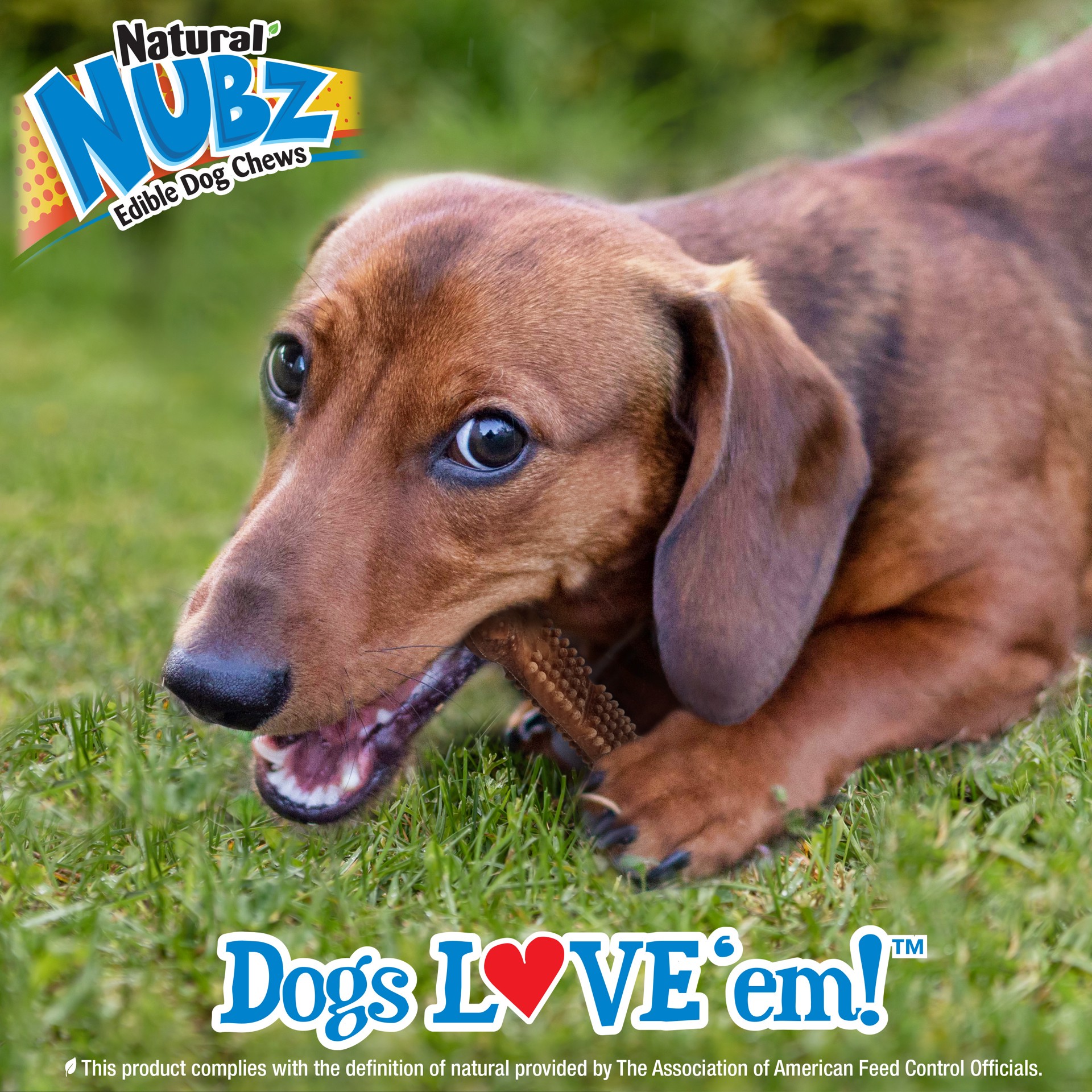 slide 4 of 9, Nylabone Nubz Meaty Center Natural Long Lasting Edible Dog Chews Beef Small - Up to 30 lbs.(16 Count), 16 ct