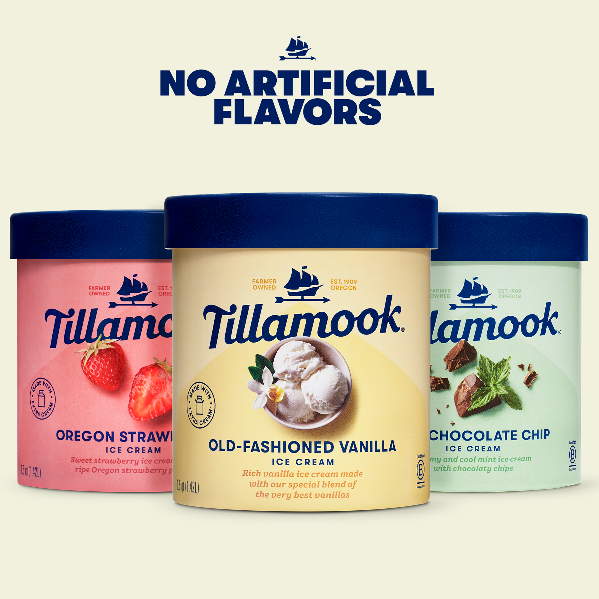 slide 3 of 5, Tillamook Mint Chocolate Chip Ice Cream, 48fl-oz, 855 g