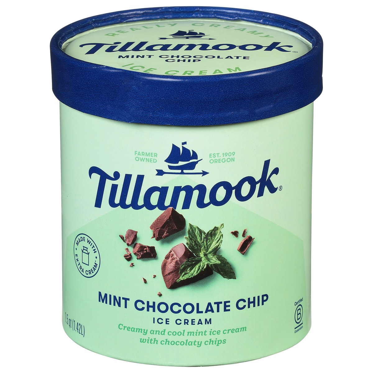 slide 1 of 5, Tillamook Mint Chocolate Chip Ice Cream, 48fl-oz, 855 g