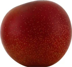 Fresh Mottled Plumcot