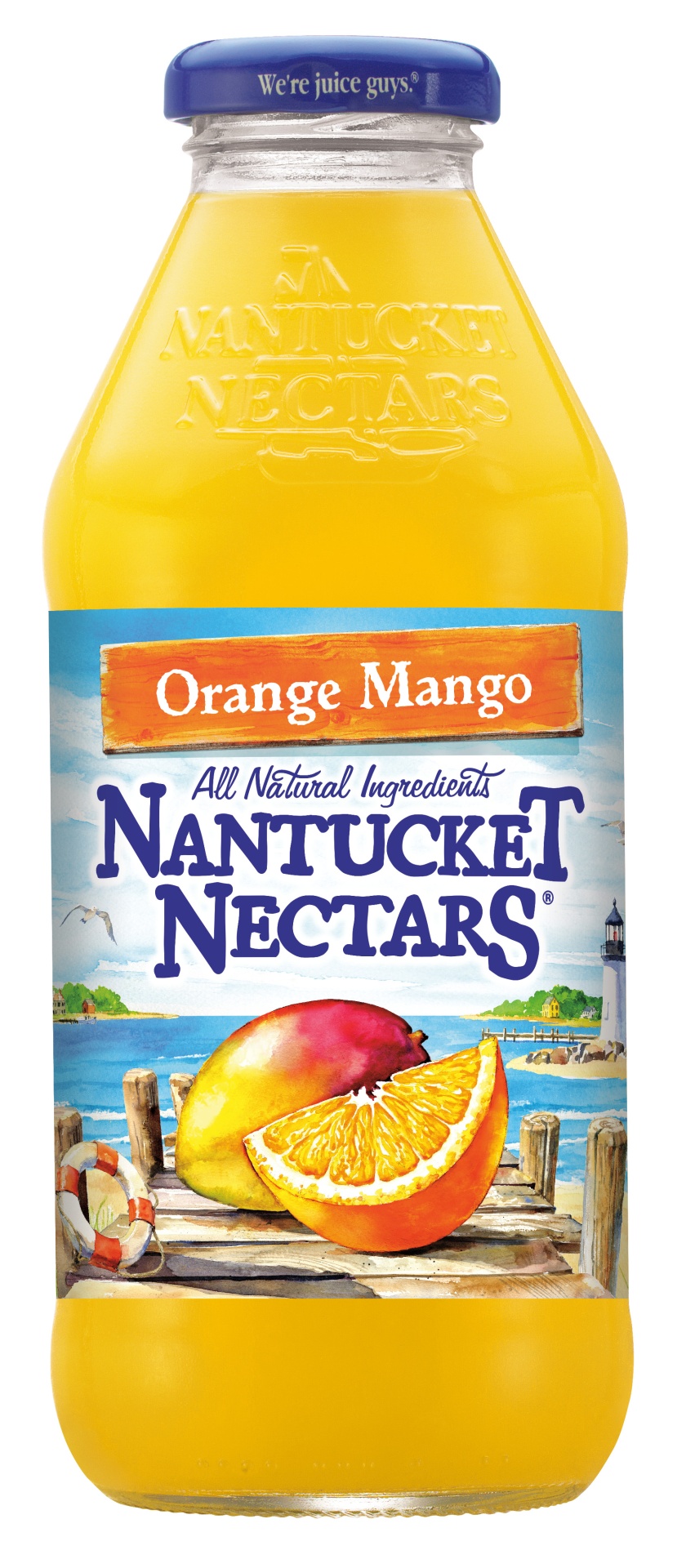 slide 1 of 2, Nantucket Nectars Orange Mango Juice Blend Cocktail, 16 fl oz