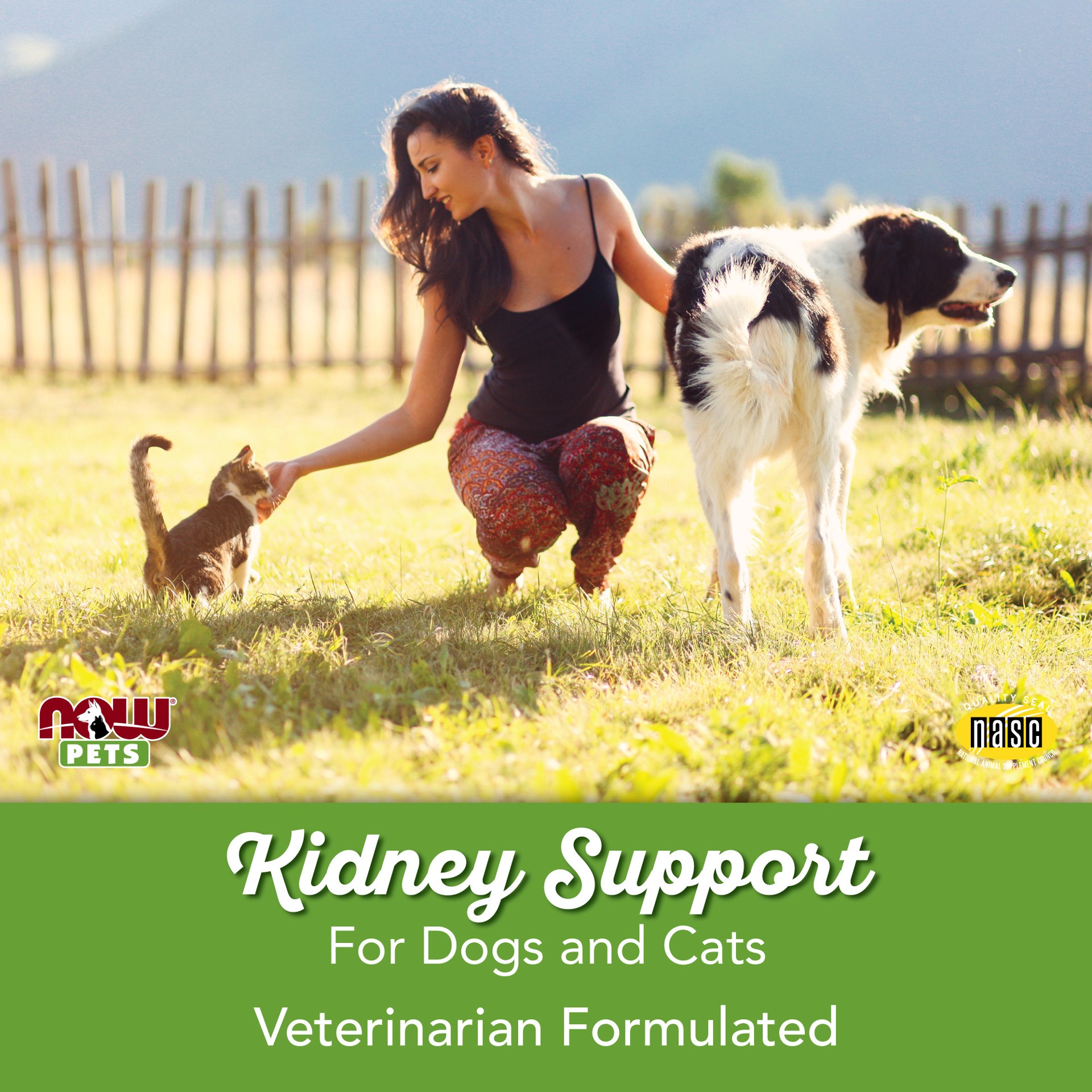 slide 4 of 5, NOW Kidney Support for Dogs & Cats Powder - 4.2 oz., 4.2 oz