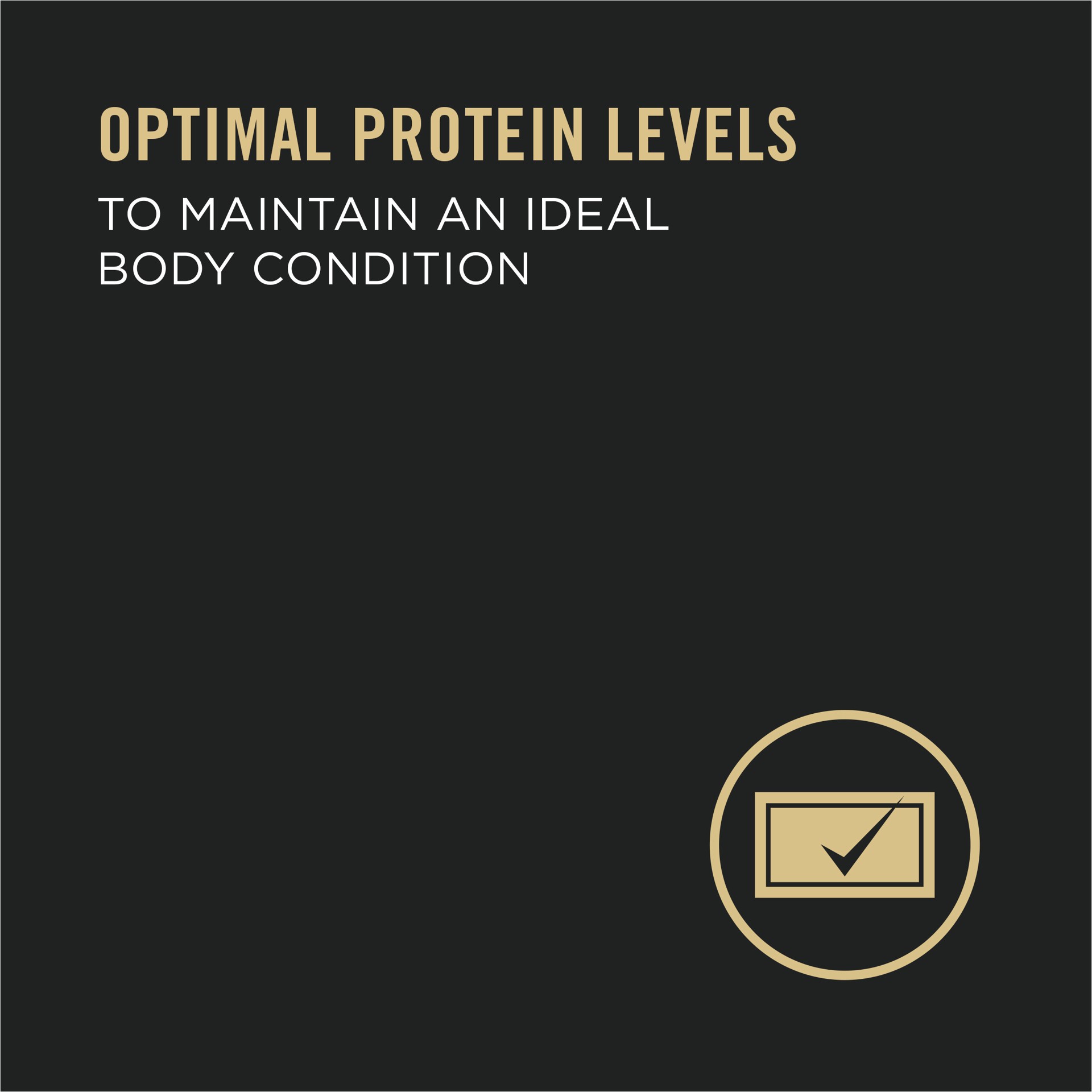 slide 4 of 8, Purina Pro Plan Wet Dog Food For Senior Dogs Adult 7 Plus Turkey and Rice Entree Classic, 13 oz