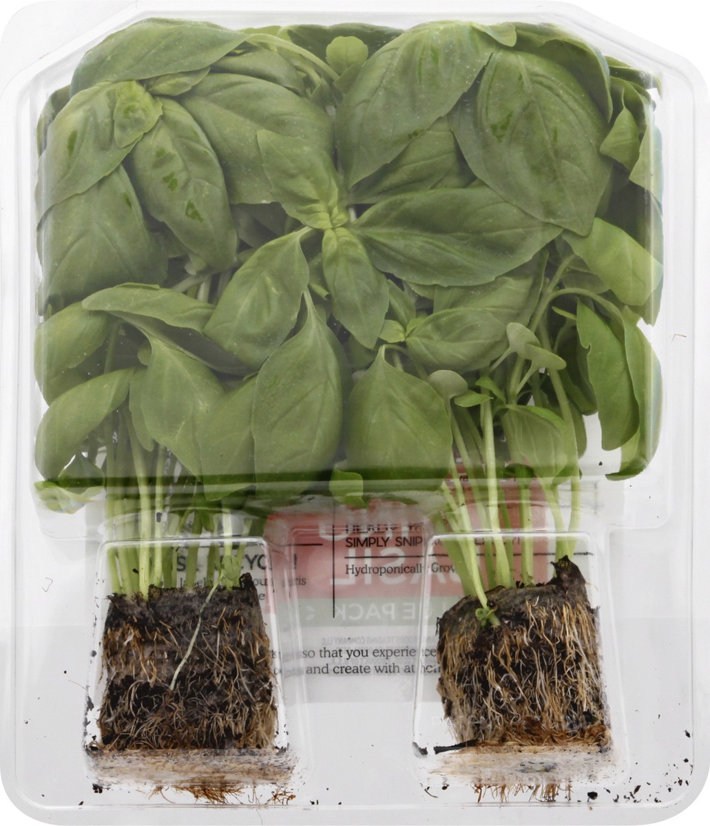 slide 9 of 9, Sun Harvest Organic Living Value Pack Basil, 2 ct