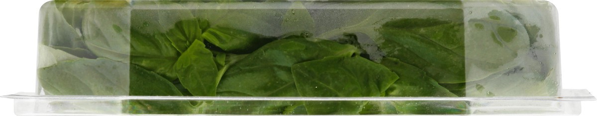 slide 8 of 9, Sun Harvest Organic Living Value Pack Basil, 2 ct