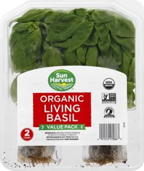 Sun Harvest Organic Living Value Pack Basil