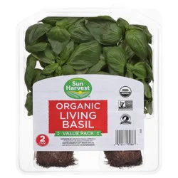 Sun Harvest Organic Living Value Pack Basil