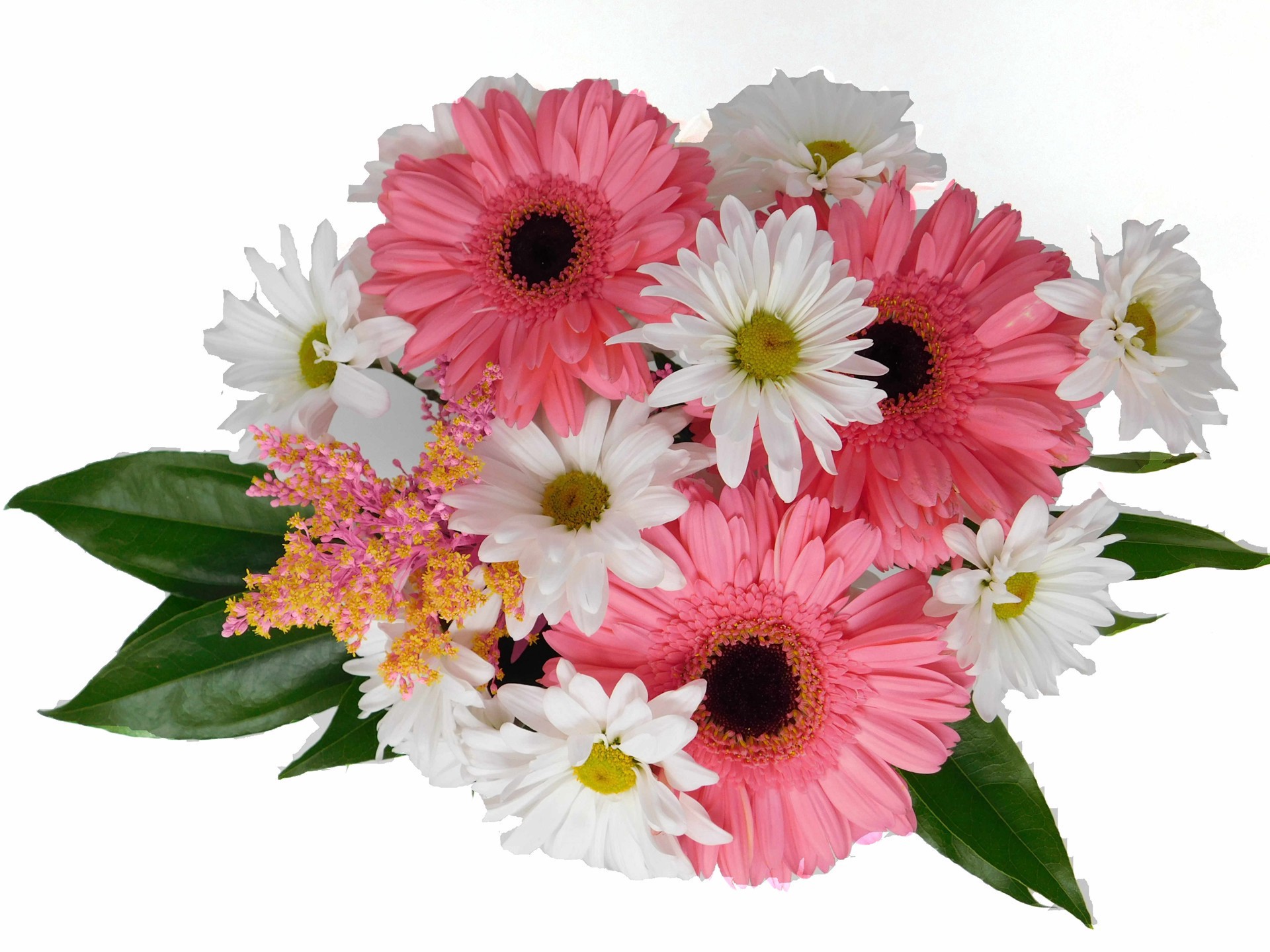 slide 1 of 1, Daisy Gerb Daisy Pink Bouquet, 1 ct