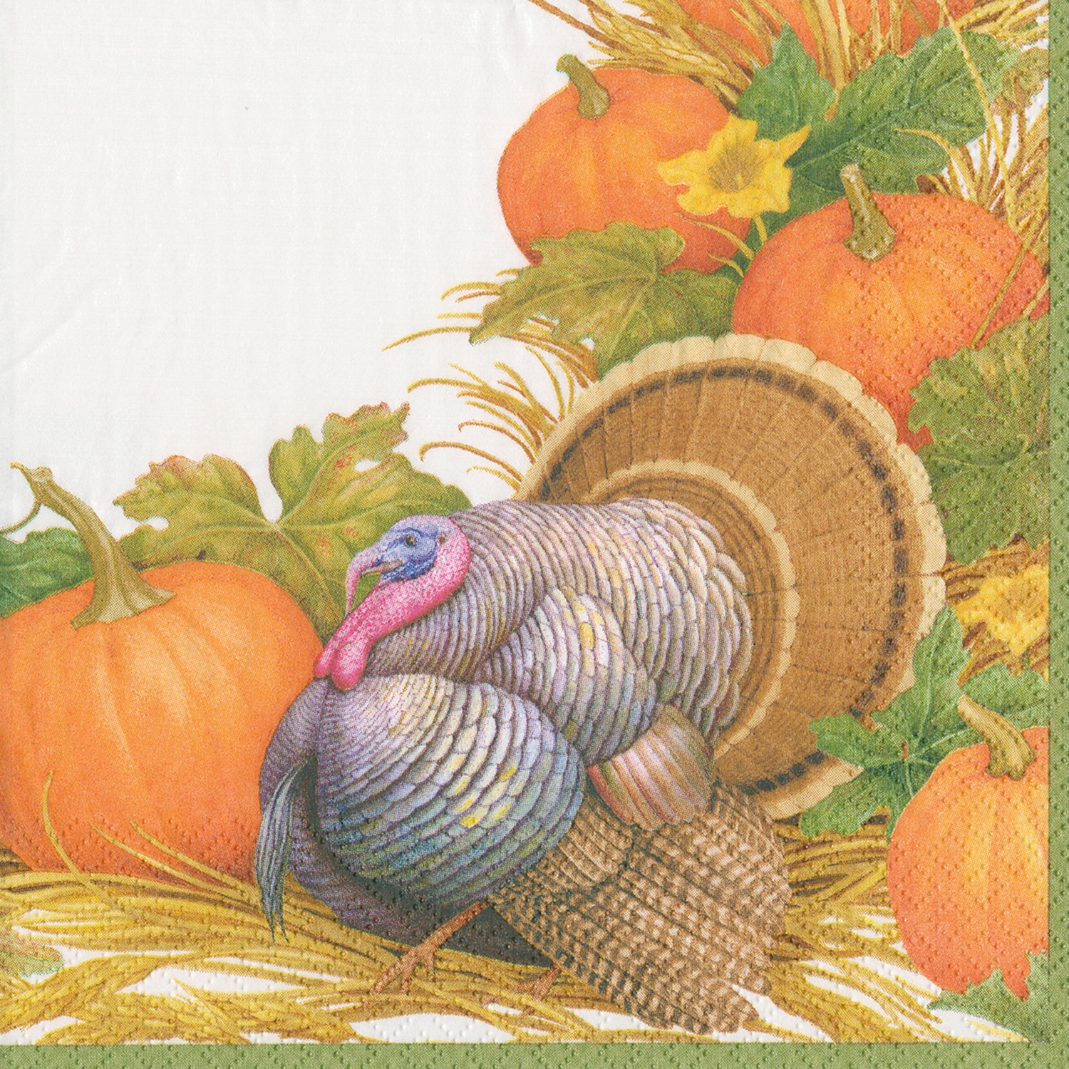 slide 1 of 1, Caspari Harvest Turkey Cocktail Napkins, 20 ct