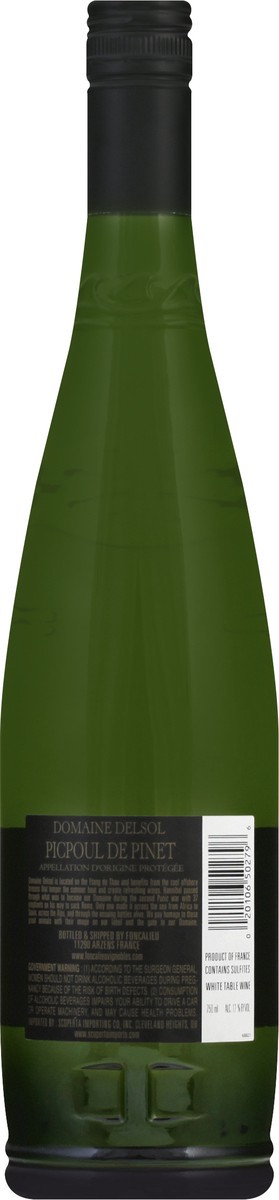 slide 2 of 6, Domaine Delsol White Table Wine, Picpoul De Pinet, 750 ml