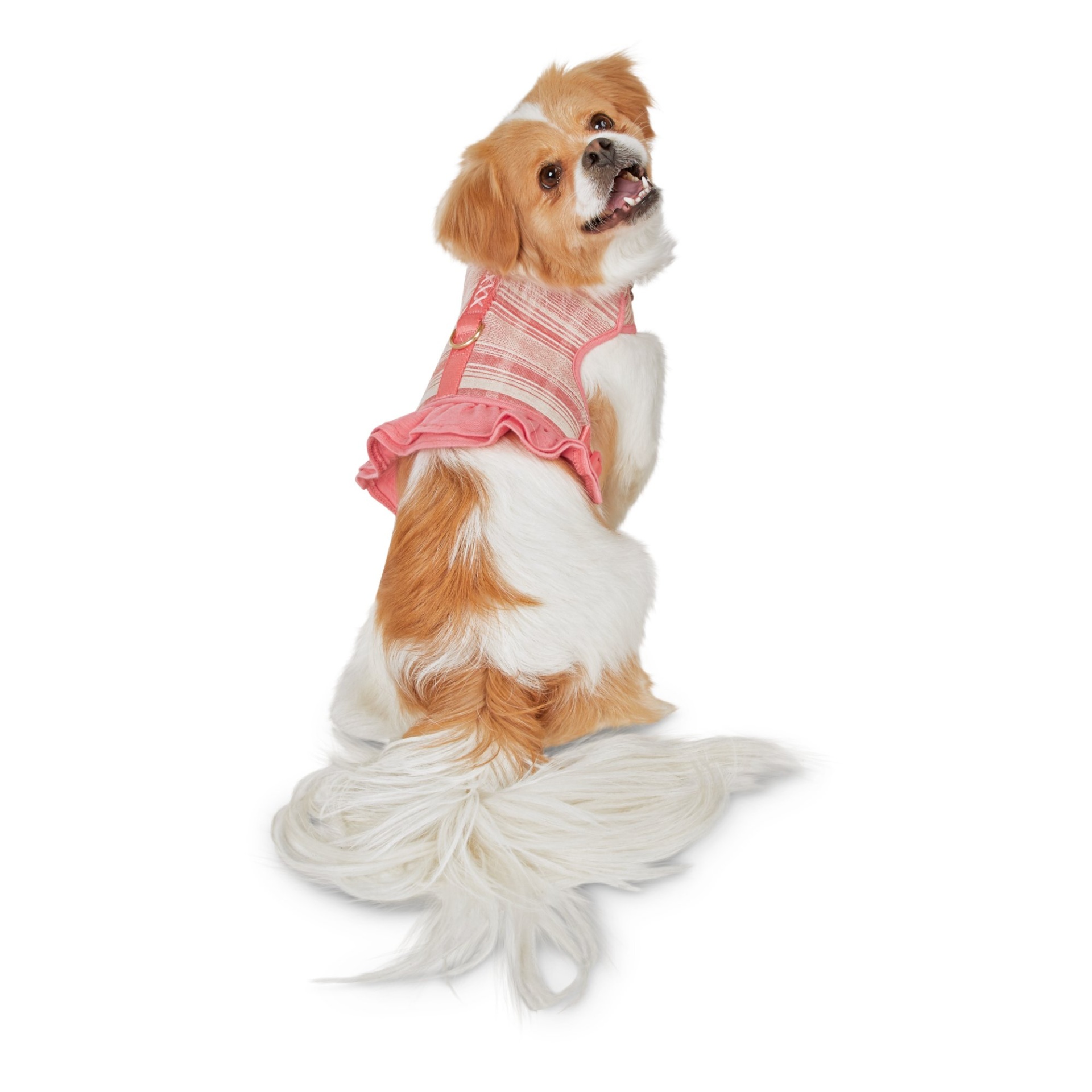 slide 1 of 1, Bond & Co. Woven Pink Stripe Dog Harness, MED