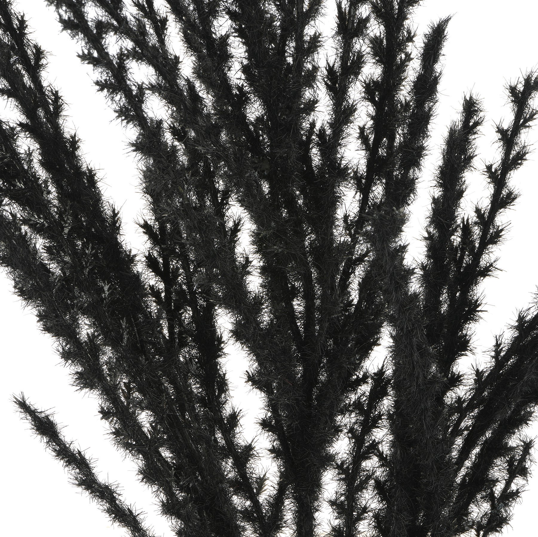 slide 2 of 2, 31" Black Pampas Grass Stem By Ashland, 31 in