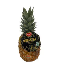 Main Plu Scale Pineapple Honeyglow