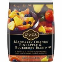 slide 1 of 1, Private Selection Mandarin Orange Pineapple & Blueberry Blend, 16 oz