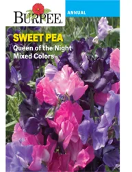 Burpee Heir Sweet Pea Queen of Night Mixed Color