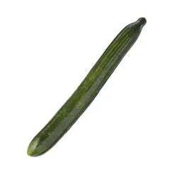 Fresh Cucumber Seedless