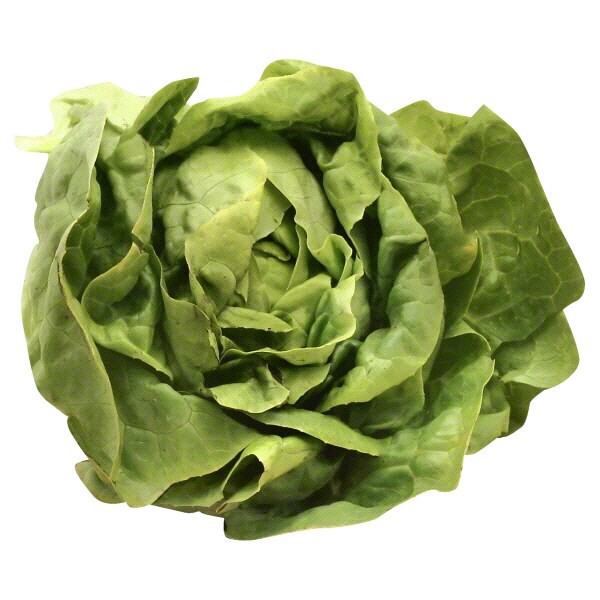 slide 1 of 1, Boston Lettuce, 1 bunch