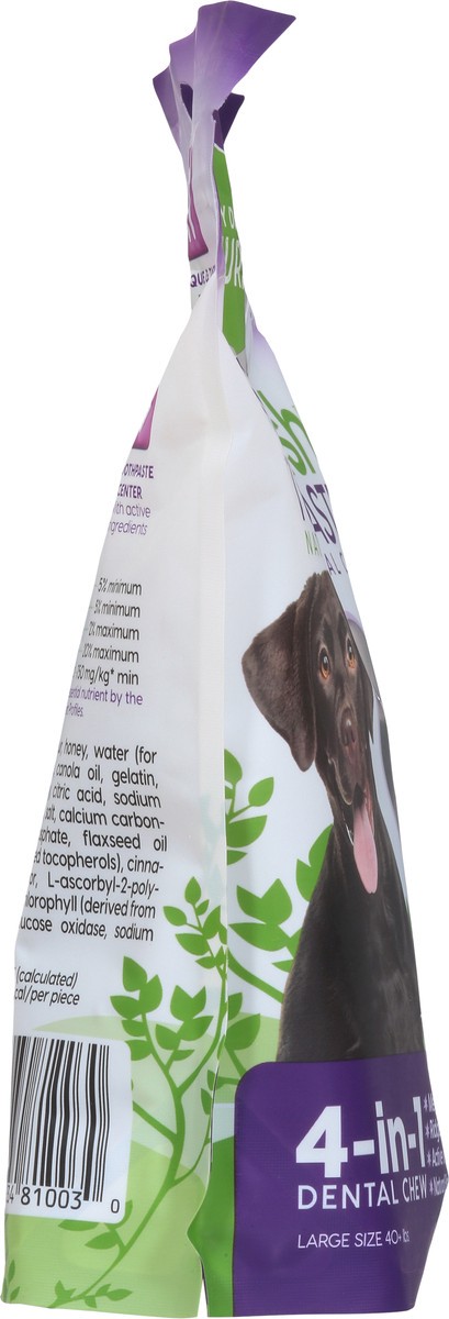 slide 10 of 10, Every Day Naturals No Brush Large Size (40+ lbs) Toothpaste Natural Dental Chew 14 oz, 14 oz