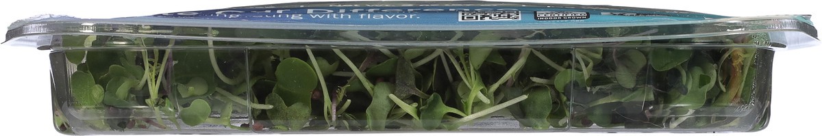 slide 5 of 9, AeroFarms Micro Rainbow Mix 2 oz, 1 ct