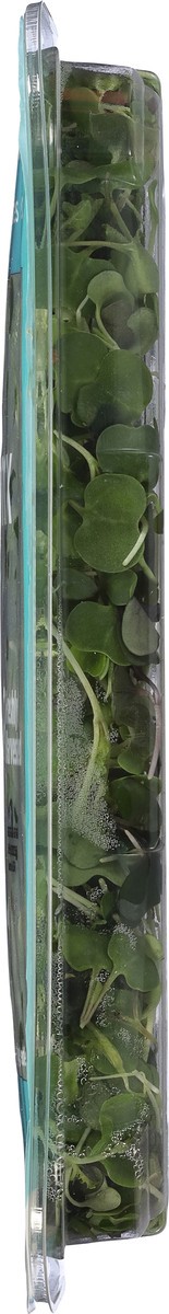 slide 8 of 9, AeroFarms Micro Rainbow Mix 2 oz, 1 ct