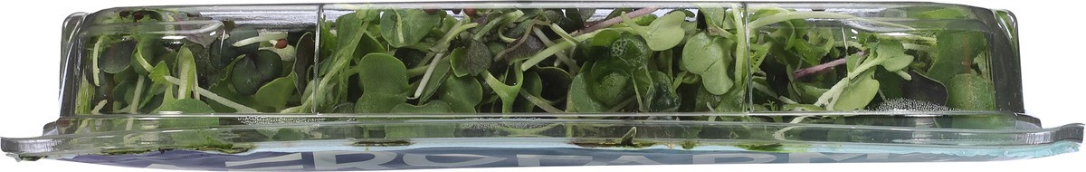 slide 4 of 9, AeroFarms Micro Rainbow Mix 2 oz, 1 ct