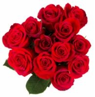 slide 1 of 1, BLOOM HAUS Red Roses, 12 ct