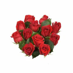 BLOOM HAUS Red Roses