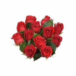 BLOOM HAUS Red Roses